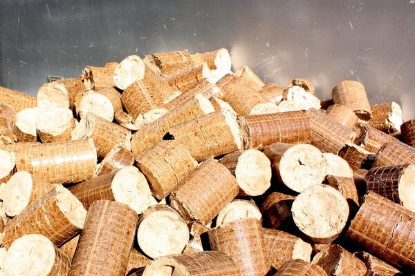 BIOFUELS & BIOMASS