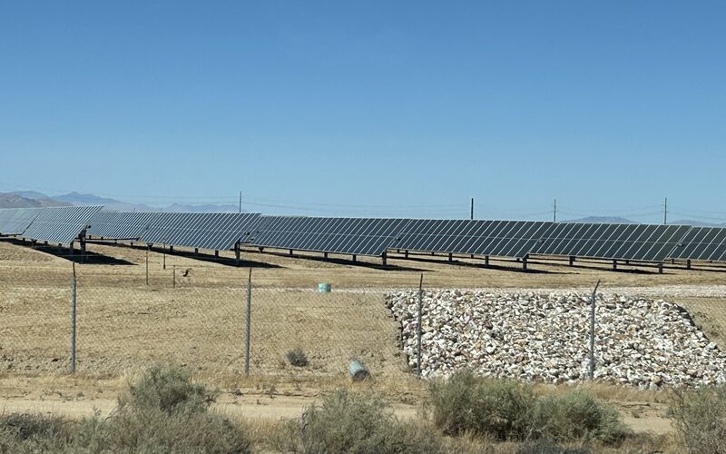 Rows of panels at a utility-scale solar farm