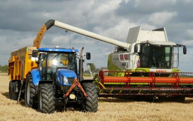 Combine harvester unloading wheat during harvest